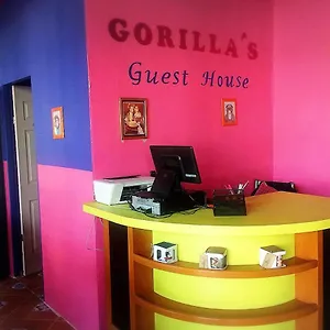  Hostal Gorilla's